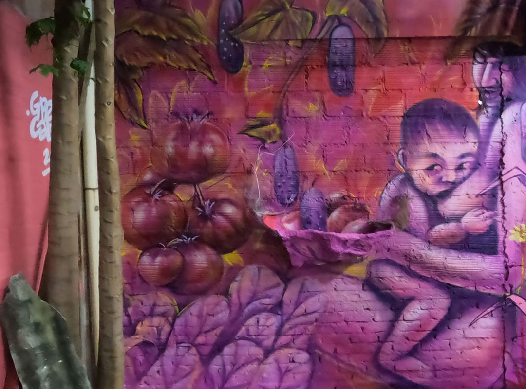 Cali Vibra con la Cultura