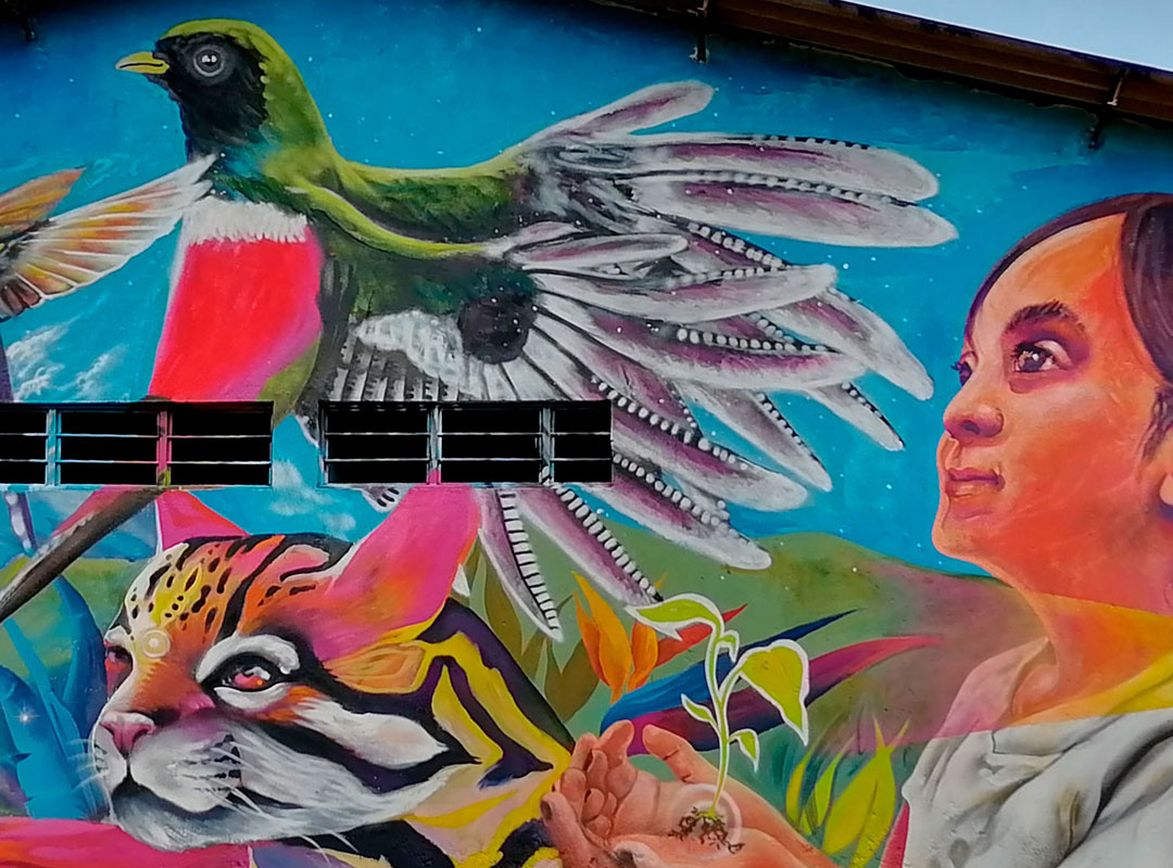 Festival del Oso Andino